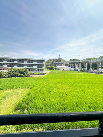 プリシェール南別府の展望