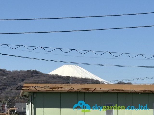 平塚市徳延　中古戸建の展望|天候によりますが、２階寝室・バルコニーより富士山が見えます