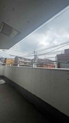 シティマンション薬院Ⅱの展望