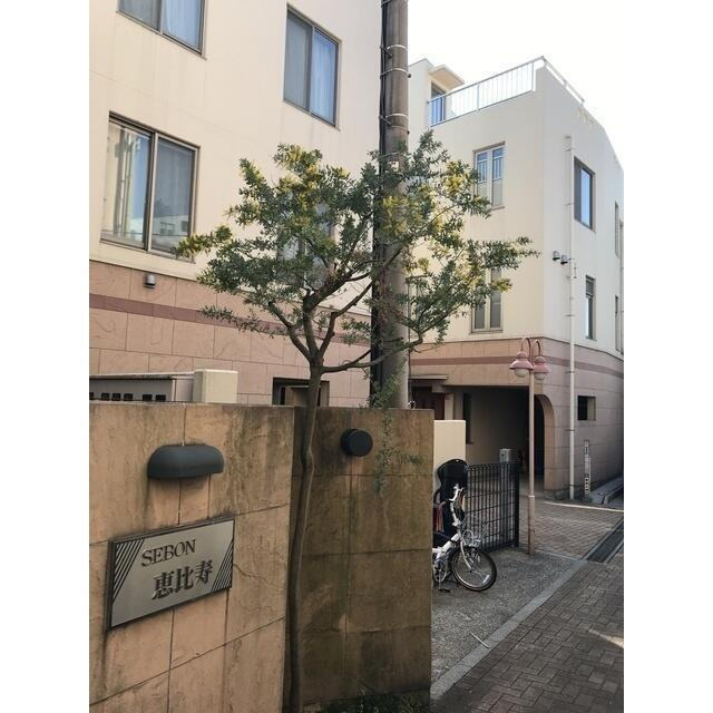 セボン恵比寿