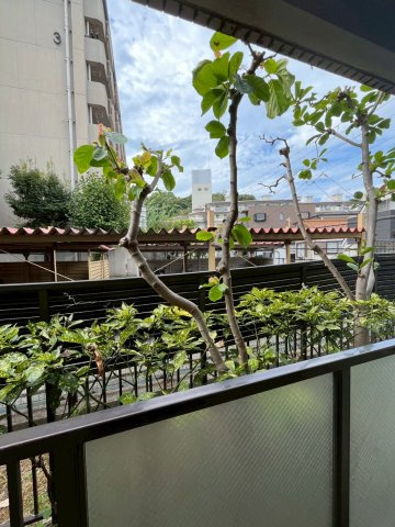 ロイヤル苦楽園の展望