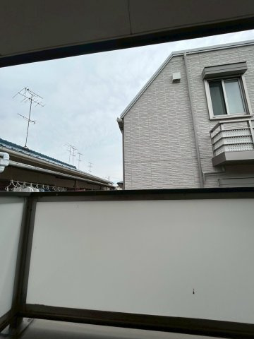 フローレス岡本の展望