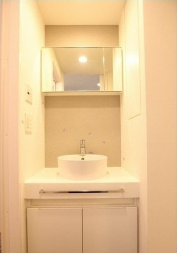 パークフラッツ中目黒　ペット相談　ウォークインクロゼット　南向きの洗面所