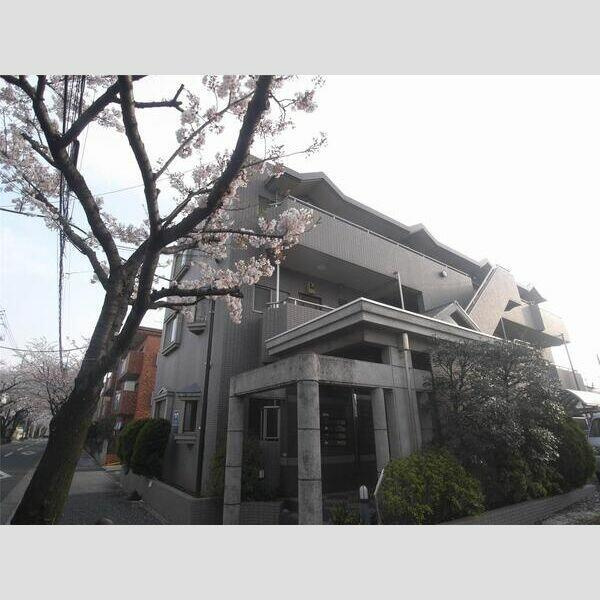 ドミール森田の展望