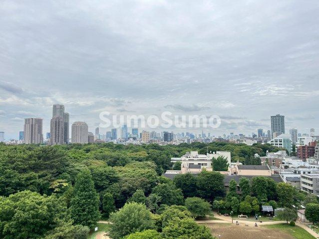 パークアクシス白金台の展望