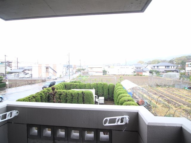 ファーストの展望