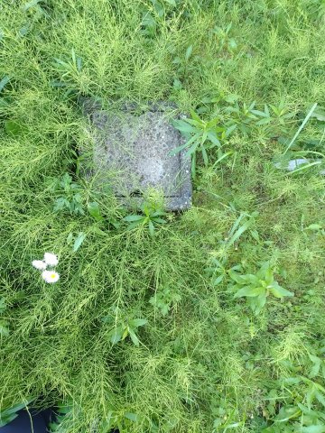 【庭】 | 九十九里町片貝　中古戸建