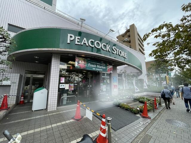 パレロワイヤル弦巻のエントランス|ピーコックストア桜新…まで813m 