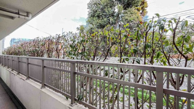 【バルコニー】 | ラヴィドール杉並上井草 | 陽当たり良好なバルコニーです