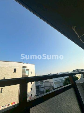 ハイ・コートの展望