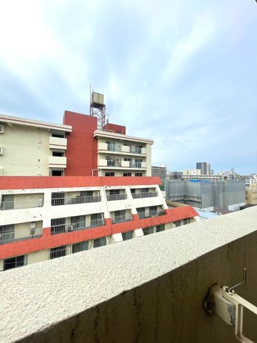 ピュア・オータムの展望