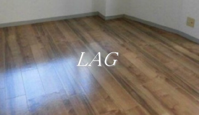 【居間・リビング】 | ヘリオス相互３７８方南町パートⅡ | 洋室のお部屋です。