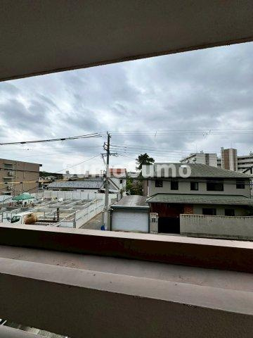 リアライズ甲子園 の展望