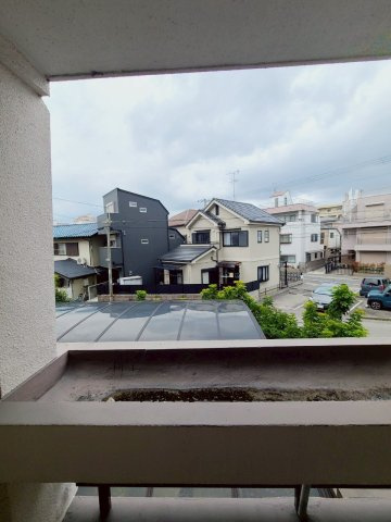 リアライズ甲子園 の展望