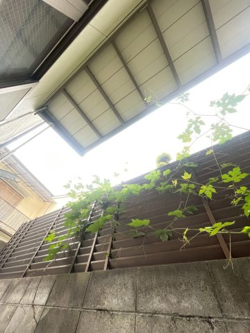 岩永ハイツの展望