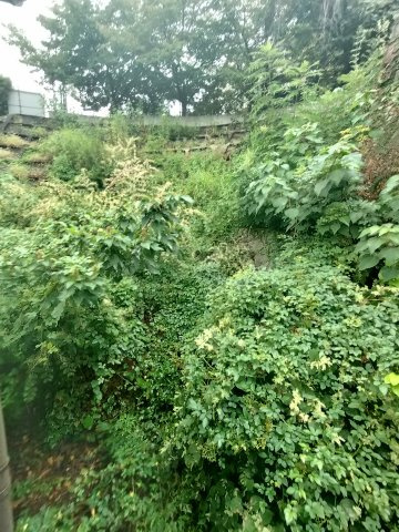 城の下通3丁目テラスハウスの展望