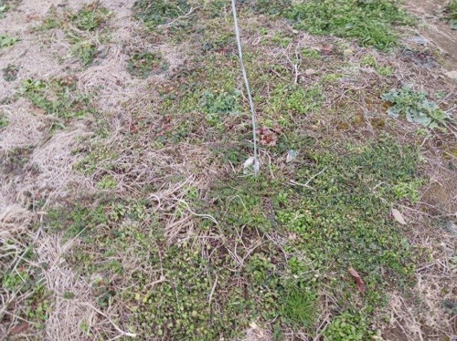 羽島市小熊町土地①の画像