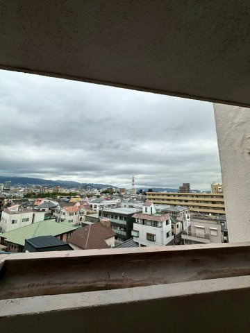 リアライズ甲子園 の展望