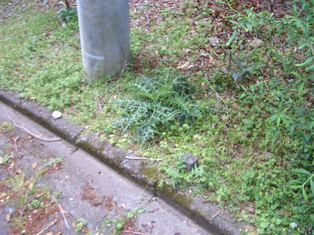 河津町　天子平別荘地のその他