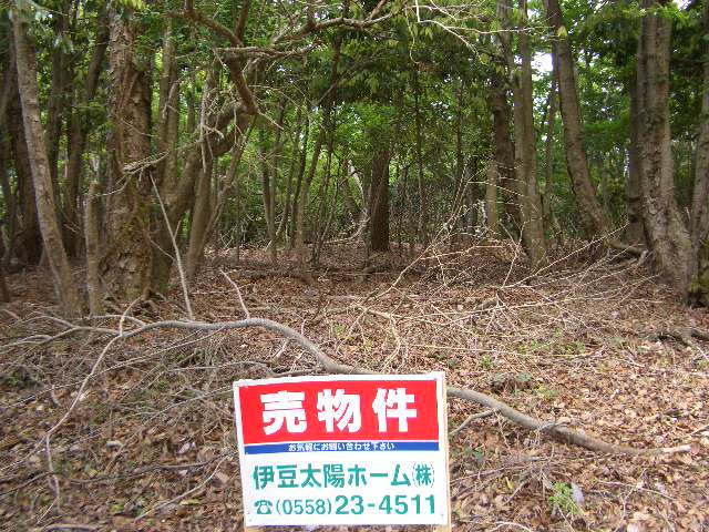河津町　天子平別荘地