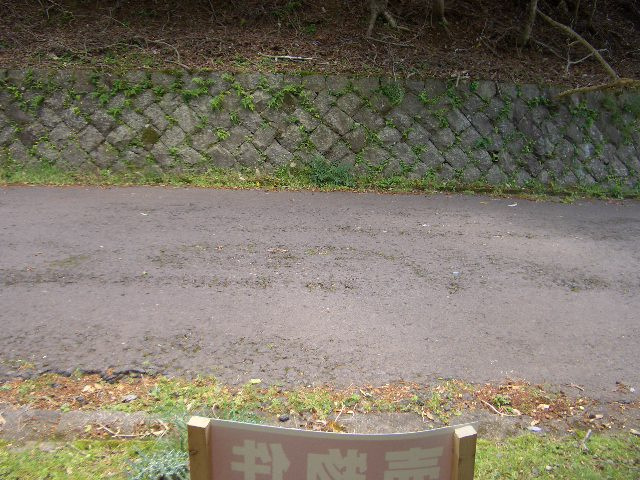 河津町　天子平別荘地の前面道路含む現地写真