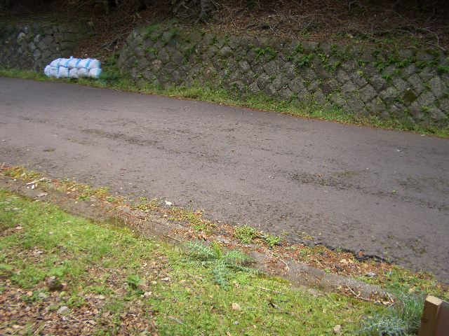 河津町　天子平別荘地の前面道路含む現地写真