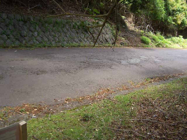 河津町　天子平別荘地の前面道路含む現地写真