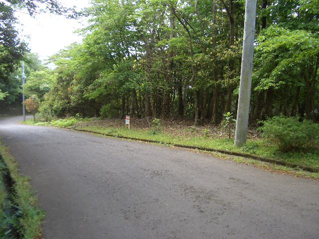 河津町　天子平別荘地の前面道路含む現地写真
