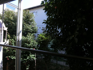 【展望】 | スマイルワン