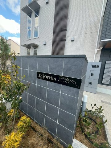 D’Sophiaのその他