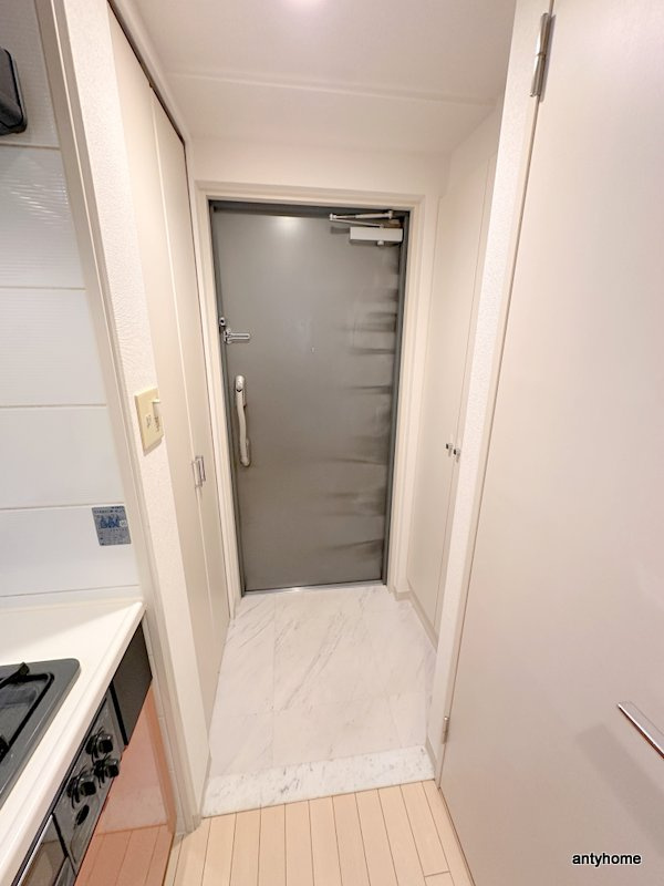 ウィルテラスなんば南　仲介手数料無料の玄関