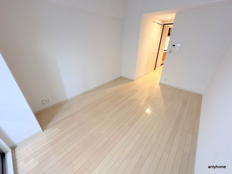 ウィルテラスなんば南　仲介手数料無料の居間・リビング