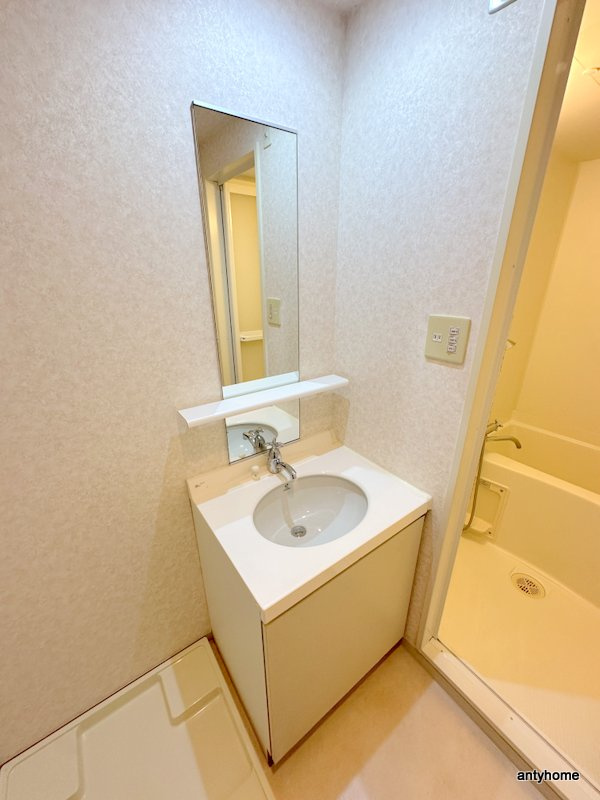 ウィルテラスなんば南　仲介手数料無料の洗面所