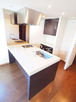 【キッチン】 | レジディア品川 | キッチンです