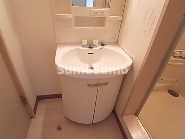 第3カシノハイツの独立洗面台