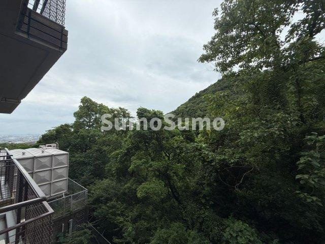 朝日プラザ芦屋山手１番館の展望