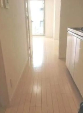 ライジングプレイス浅草弐番館の玄関