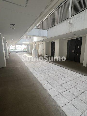 神戸市東灘区森南町１丁目の賃貸マンションのロビー