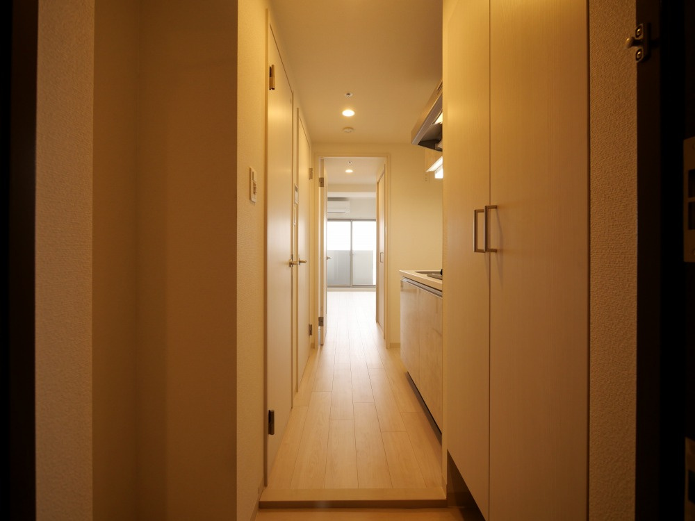 東大阪市長田中１丁目の賃貸マンションの玄関