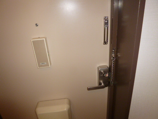 ドメスティックカーサのセキュリティ