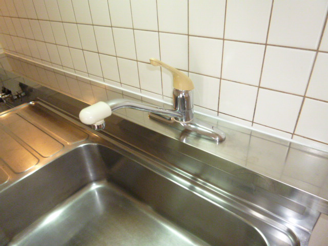 ドメスティックカーサのキッチン