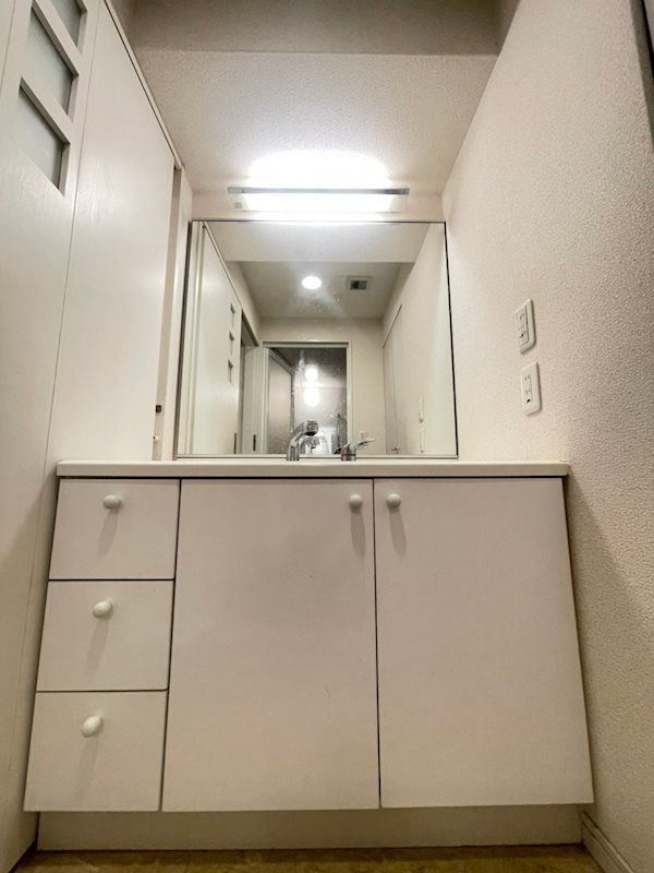 KAISEI新神戸第2WESTの洗面所