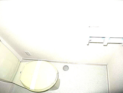 【トイレ】 | ラフォーレⅡ | 落ち着いたトイレです