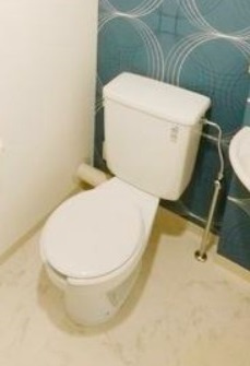 サンセール与野本町のトイレ|別部屋内装写真