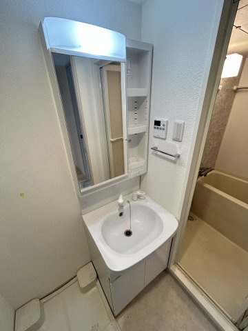 S-RESIDENCE南堀江の洗面所