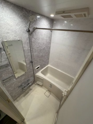 S-RESIDENCE大阪上本町の浴室