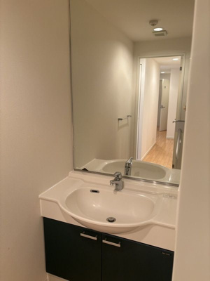 【独立洗面台】 | DeLLCS永田町