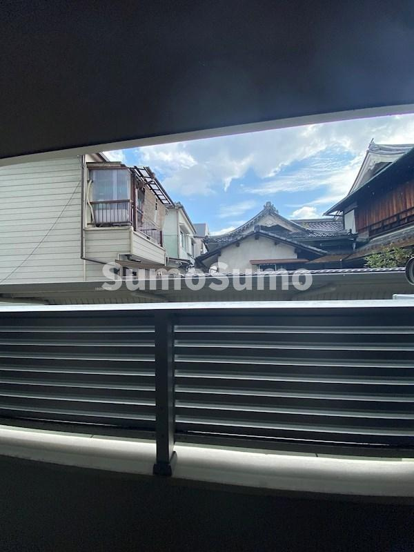 SUN BRIGHTの展望