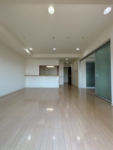 大阪市西区南堀江２丁目の賃貸マンションの居間・リビング