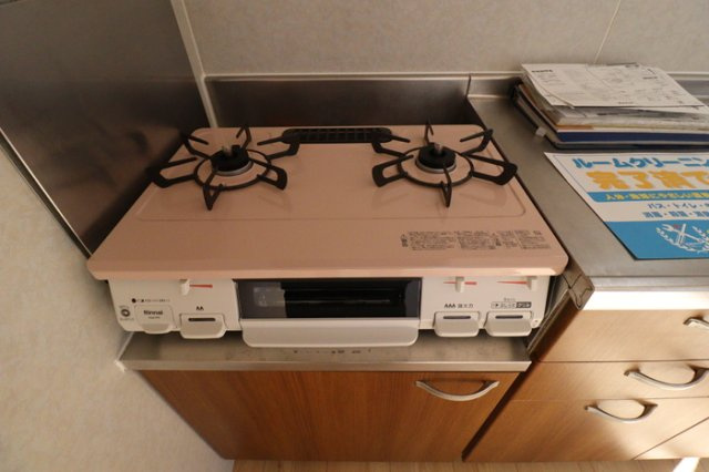 スゥイートガーデン国富　西棟のキッチン